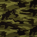 Philadelphia Commercial
Camouflage